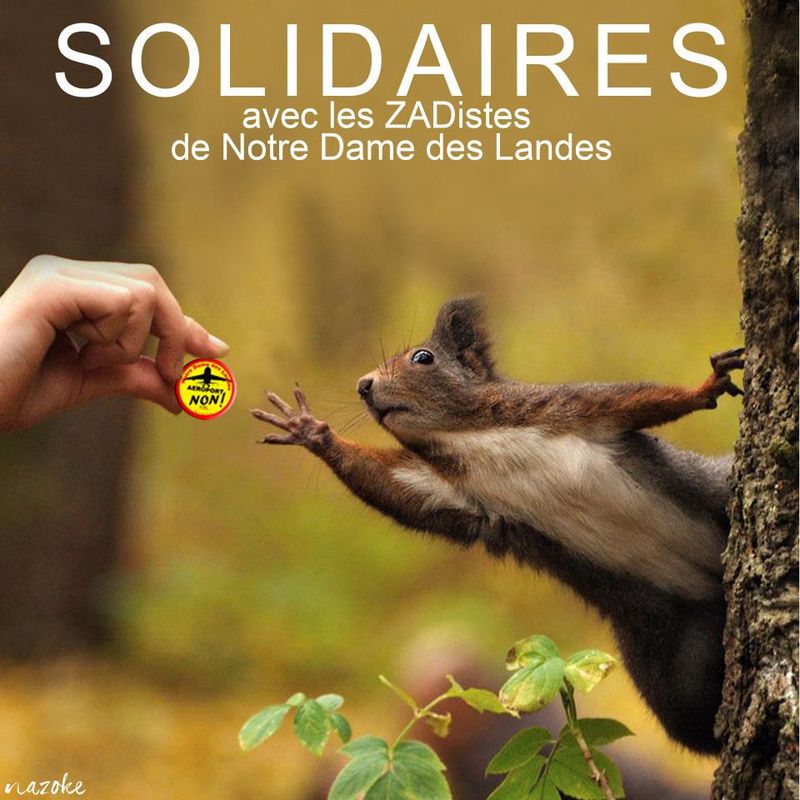 Solidaires_zad_ecureuil